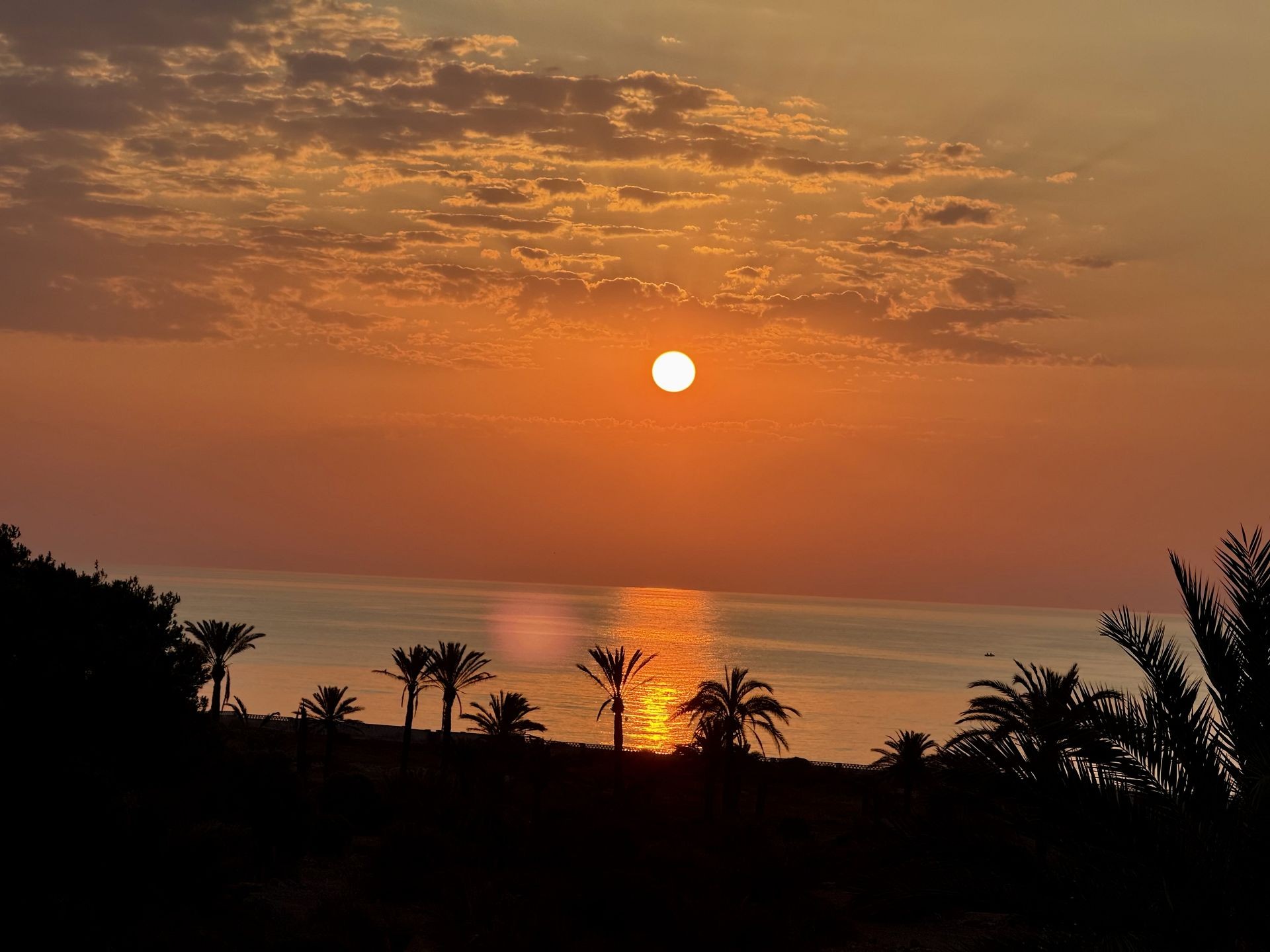Penthouse dans San Miguel de Salinas Revente  Costa Blanca Sud